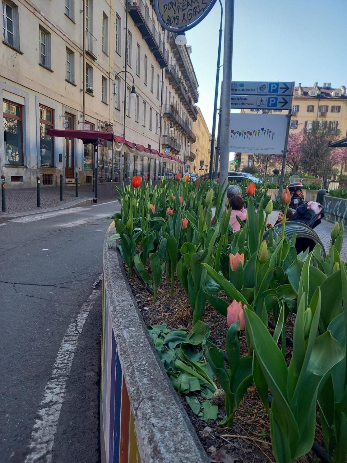 Centralissimo Nel Cuore Del Quadrilatero Di Torino Dış mekan fotoğraf